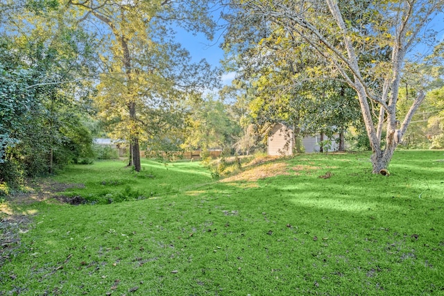 view of yard with a garage