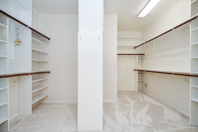 spacious closet featuring light colored carpet