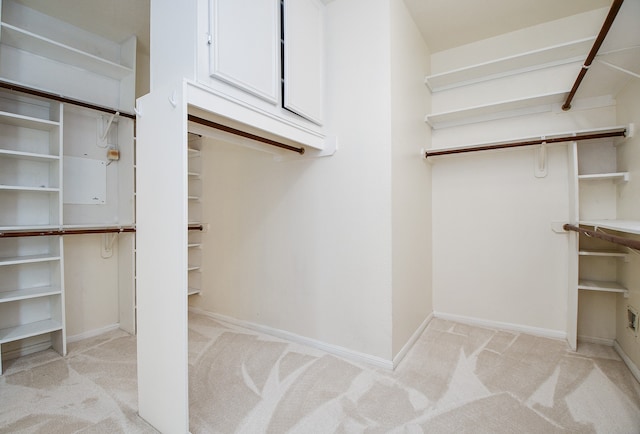 spacious closet featuring light carpet