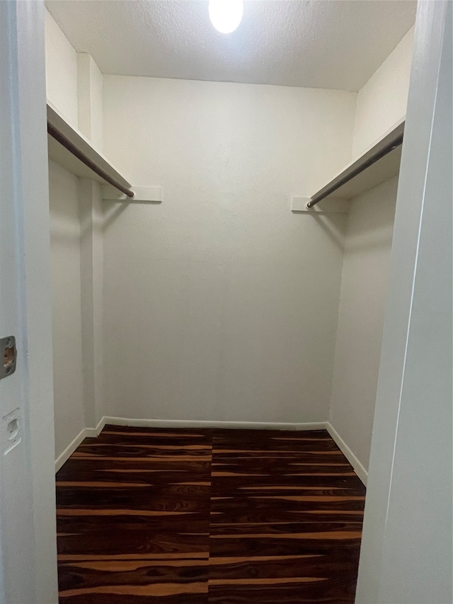 spacious closet featuring dark hardwood / wood-style flooring