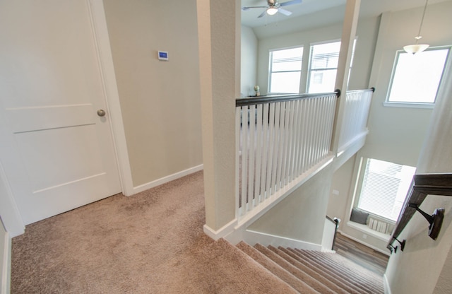 stairs featuring carpet and a healthy amount of sunlight