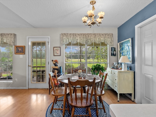 dining space featuring a healthy amount of sunlight, a textured ceiling, and light hardwood / wood-style flooring