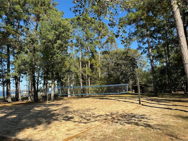 view of community featuring volleyball court