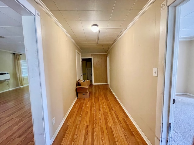 hallway featuring crown molding and light hardwood / wood-style flooring