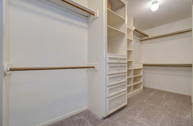 spacious closet with light carpet