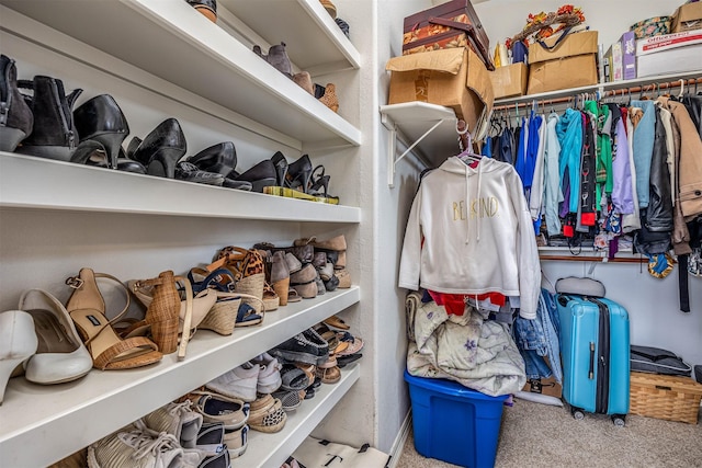 walk in closet featuring carpet flooring