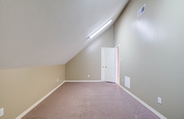 additional living space featuring lofted ceiling with skylight, a textured ceiling, and carpet floors