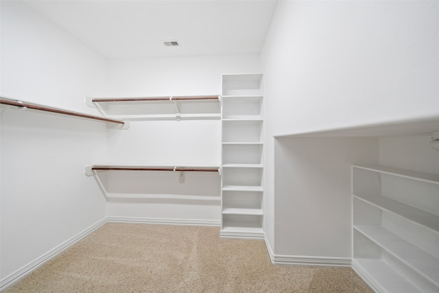 spacious closet with carpet