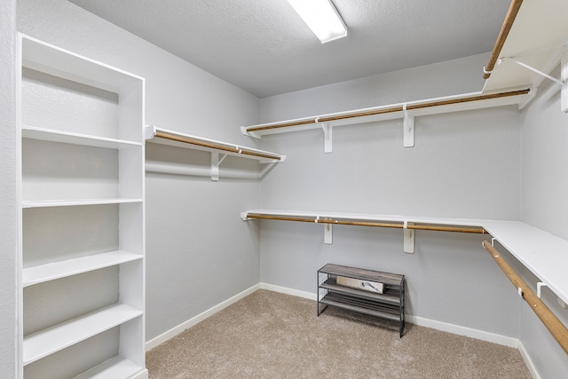 spacious closet with light carpet