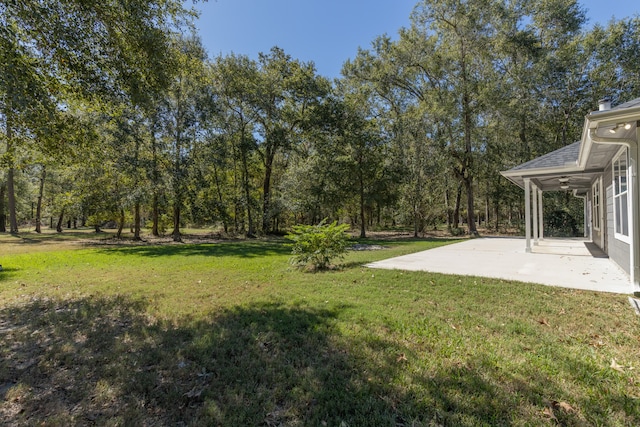 view of yard featuring a patio area