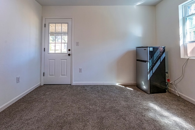 interior space featuring carpet and a healthy amount of sunlight