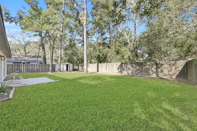 view of yard with a patio and a storage shed