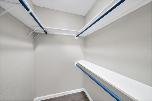 walk in closet featuring dark hardwood / wood-style floors