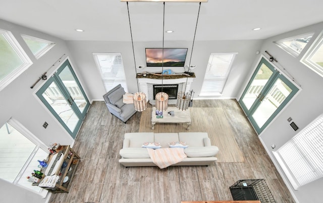 living room with a towering ceiling and wood-type flooring