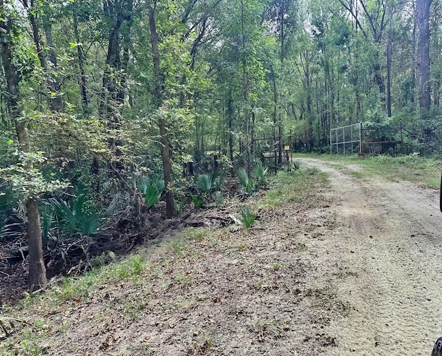 LOT1 Harper Branch Rd, Trinity, TX 75862 - photo 9
