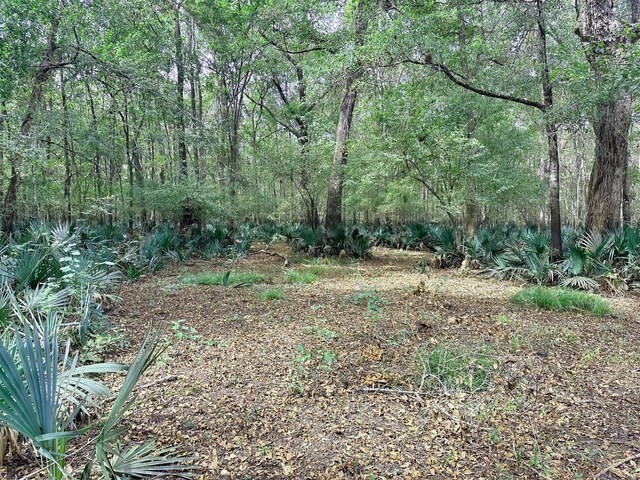 LOT1 Harper Branch Rd, Trinity TX, 75862 land for sale