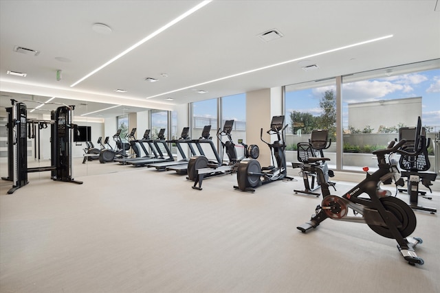 workout area with expansive windows and carpet floors