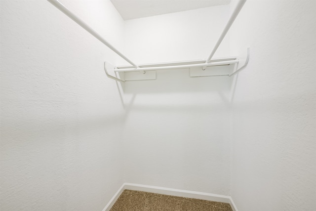 walk in closet featuring carpet floors