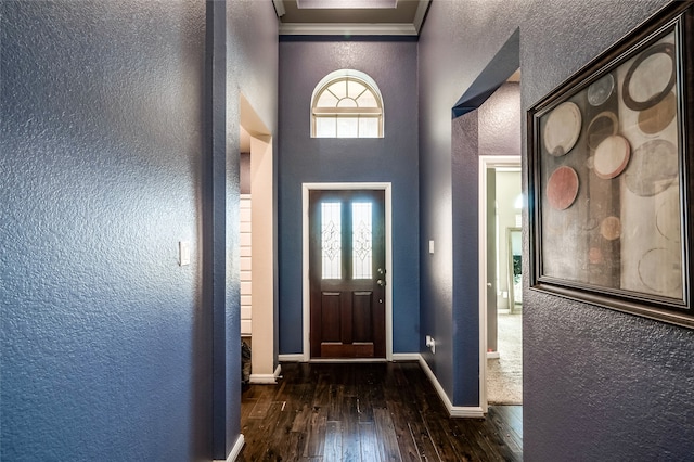 entryway featuring a healthy amount of sunlight and dark hardwood / wood-style floors