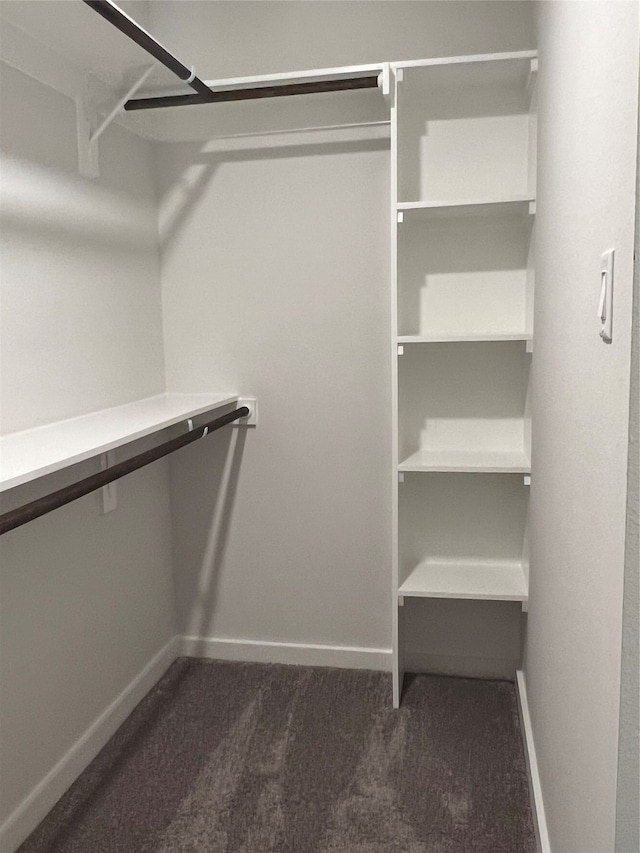 spacious closet with dark carpet