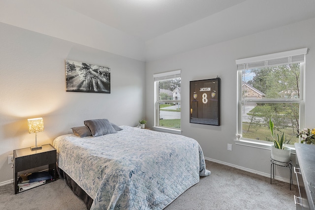 bedroom featuring carpet