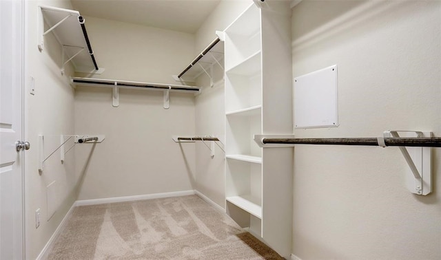 walk in closet with light carpet