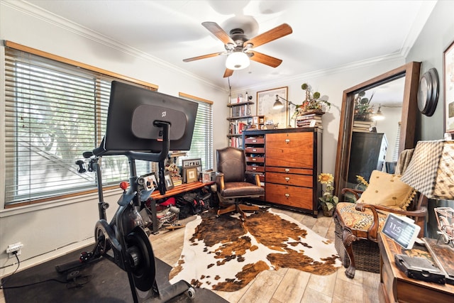 workout area featuring crown molding, light wood-type flooring, and ceiling fan