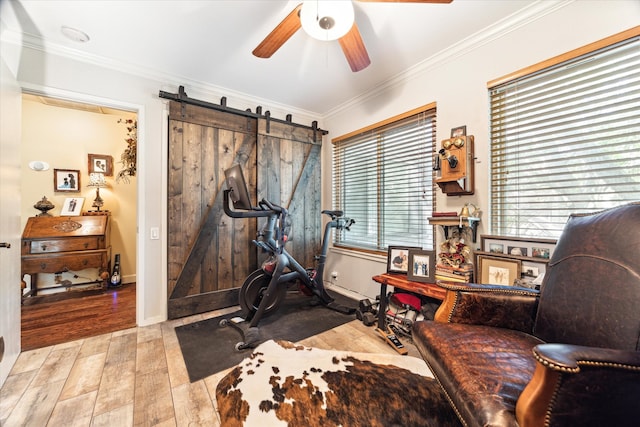 workout room with ornamental molding, a barn door, light wood-type flooring, and ceiling fan