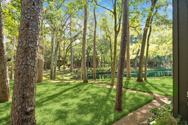 view of yard featuring a water view