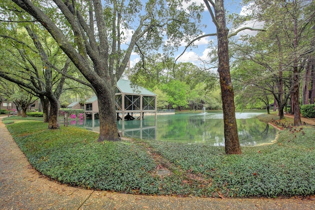 view of property's community with a water view