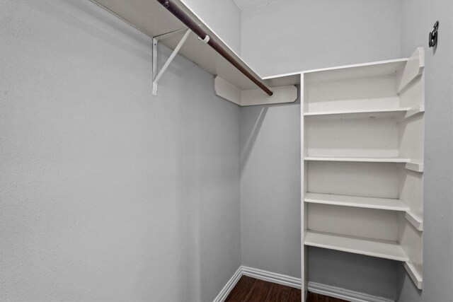 walk in closet featuring dark hardwood / wood-style flooring