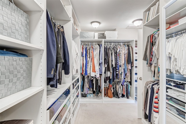 walk in closet featuring light colored carpet