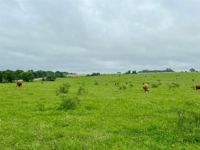 TBD Highway 159, La Grange, TX 78945 - photo 4