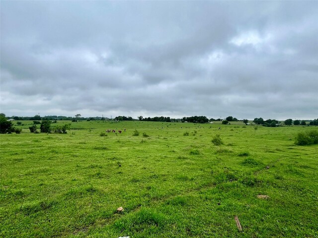 TBD Highway 159, La Grange, TX 78945 - photo 5