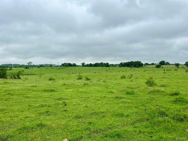 TBD Highway 159, La Grange, TX 78945 - photo 6