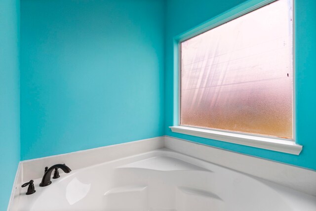 bathroom featuring a washtub and a wealth of natural light