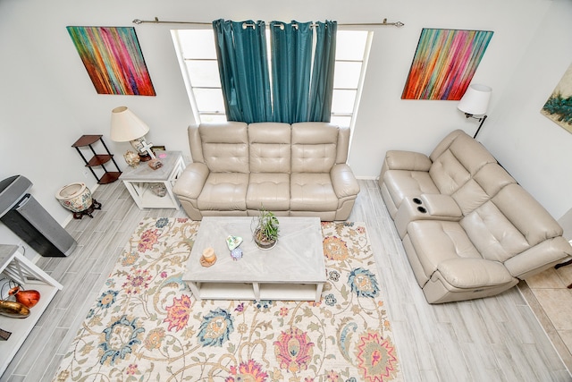 living room featuring hardwood / wood-style floors