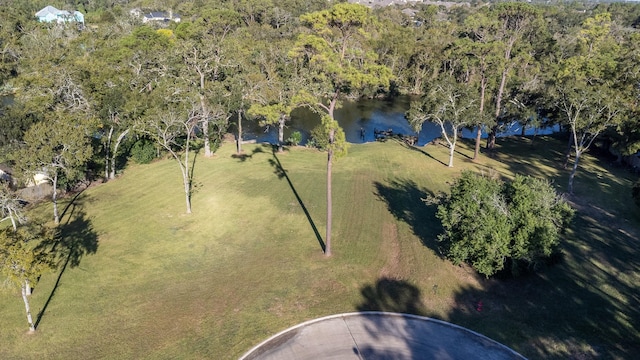 30 Ellis Rd, League City, TX 77573 - photo 22