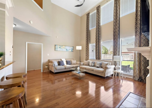 living room featuring wood-type flooring and a high ceiling