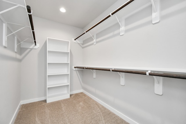 spacious closet featuring light colored carpet