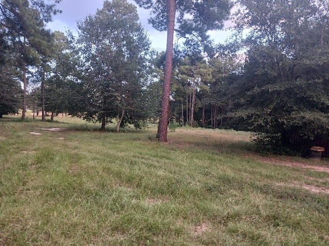 24140 Grand Pines Rd, Magnolia TX, 77355 land for sale