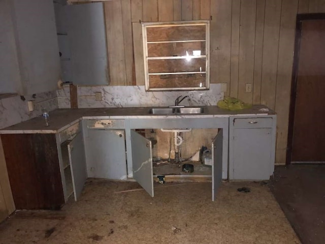 kitchen featuring sink and wood walls