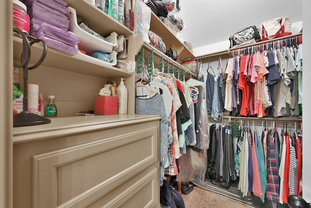 spacious closet featuring carpet floors