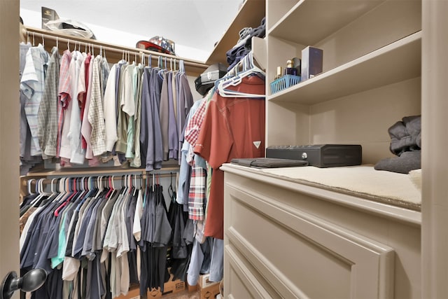 view of spacious closet