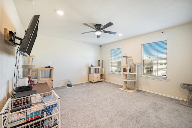 miscellaneous room with ceiling fan and carpet floors