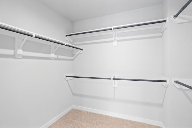 spacious closet with carpet