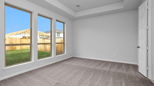 empty room featuring carpet, a healthy amount of sunlight, and a raised ceiling