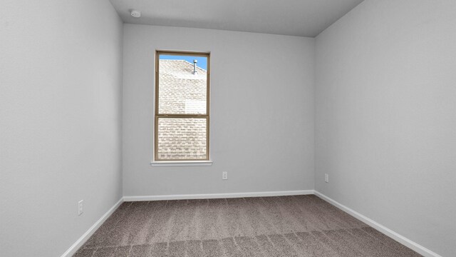 spare room with carpet