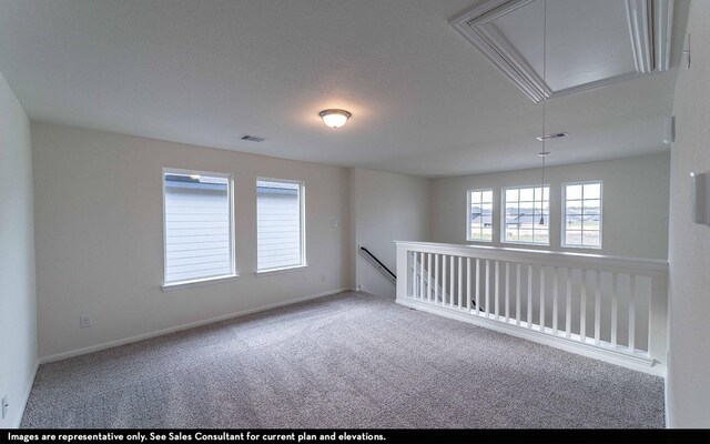 spare room with carpet floors