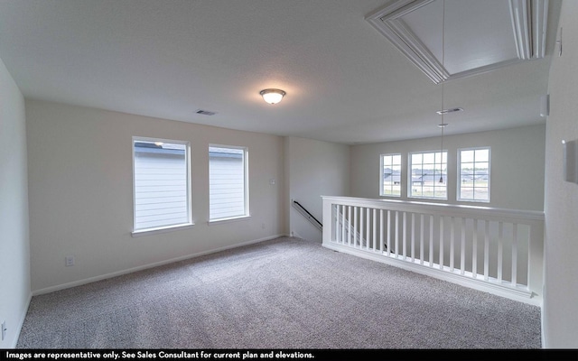 spare room with carpet floors